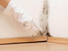 Best Mold Removal for HVAC Installations  in USA